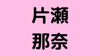 片瀬那奈　逮捕　疑惑　結婚　その後