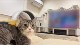 【祝】もちまる日記がテレビ出演！番組名や気になる評判は？